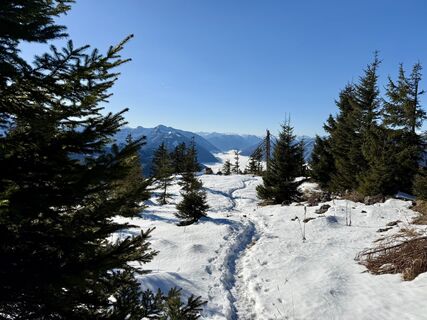 Foto von Natur_erleben_dg entlang der Tour