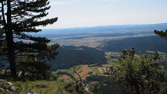 Blick in die "Neue Welt"