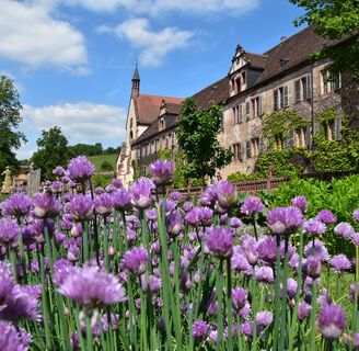 Kloster Bronnbach