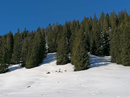 Fotografie z luyyy na trase