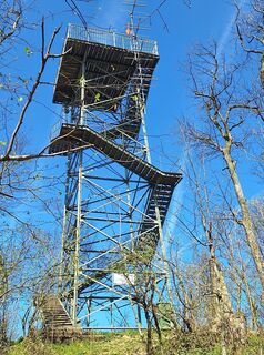 Fotografija s spletne strani Mimi na poti
