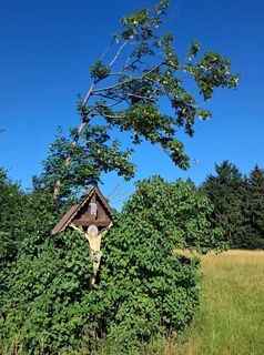 Fotografija s spletne strani Hertaschrittwieser na poti