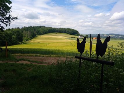 Hühnerwiem Rastplatz nahe Gemeinde Wüsten
