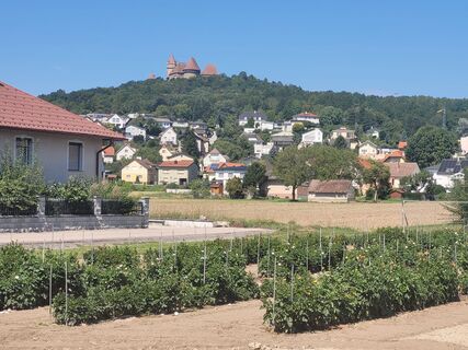Foto von mmecki entlang der Tour