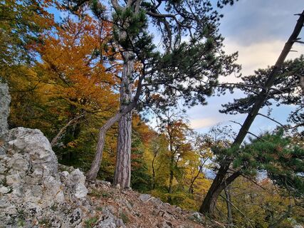 Фото с сайта Christina Fröhlich во время экскурсии