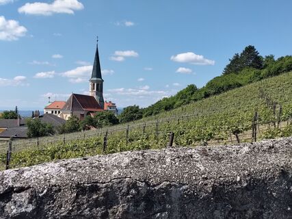 Foto de Poschacher a lo largo del recorrido