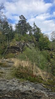 Fotografija s spletne strani Jens na poti