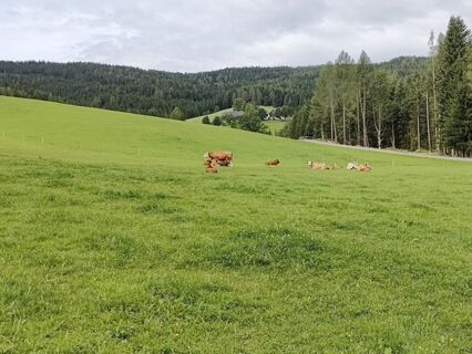 Foto von Lena Eder entlang der Tour