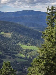 Foto von TwilightTea entlang der Tour