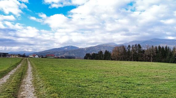 Ausblick auf die Seckauer Alpen