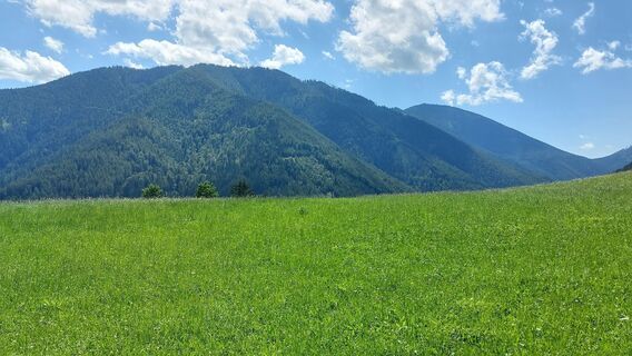 Photo de Chris Eck le long du parcours