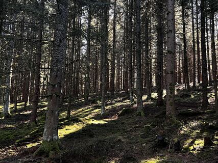 Fotografie z Alfred Weber na trase