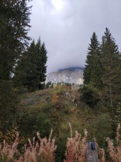 Foto von Andy Hofmann 1 entlang der Tour
