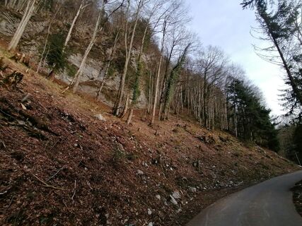 Foto von luyyy entlang der Tour