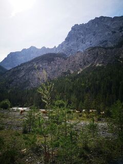Foto von Ewhones entlang der Tour