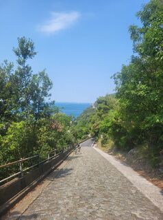 Foto von Haubentaucher entlang der Tour
