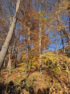 Photo de Mike Heinßmann le long du parcours