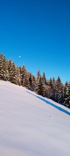 Fotografija s spletne strani veronika bozic na poti