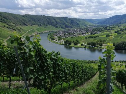 Fotografie de la Eifeleddy de-a lungul turului