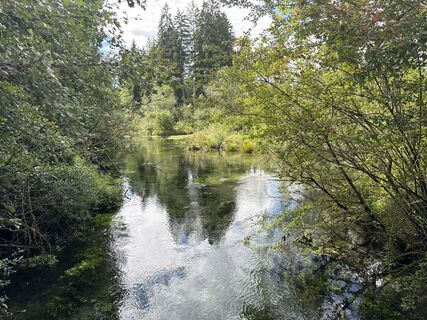 Foto von Grizzli entlang der Tour