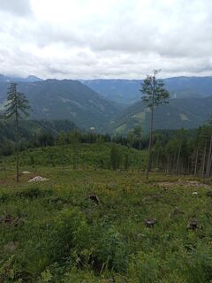 Fotografie z Raphael Riedler na trase