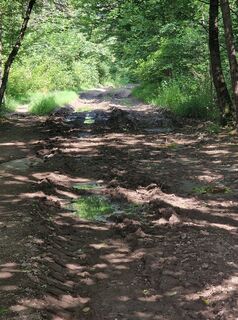 Zdjęcie z Mario Augustini wzdłuż trasy