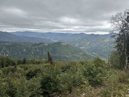 Foto von Wolfgang Matzl entlang der Tour