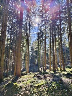 Fotografia z Stefan Gruber 8 na trase