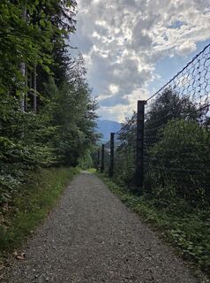Foto von Transfer entlang der Tour