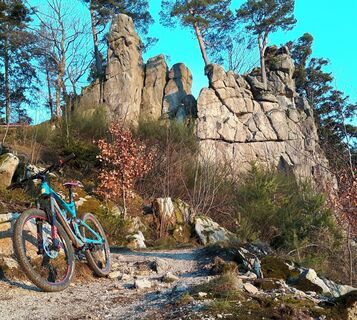 Ein Mountainbike imWald