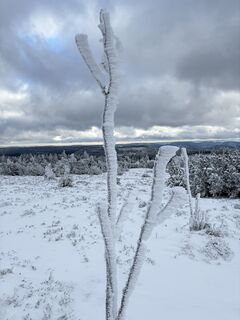 Fotografija s spletne strani Dominik na poti