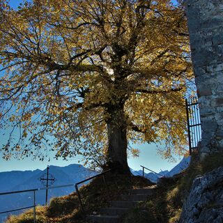 Burgruine Falkenstein im Herbst