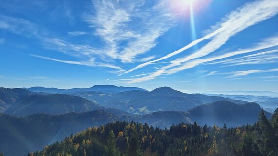 Fotografija s spletne strani Regina Fleischmann na poti