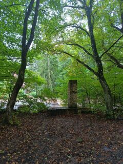 Foto von Julika Jármer entlang der Tour