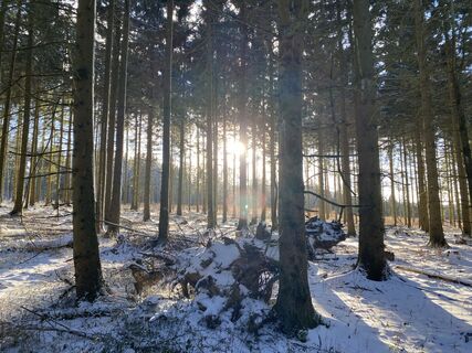 Fotografia z Arthur Muskalla na trase