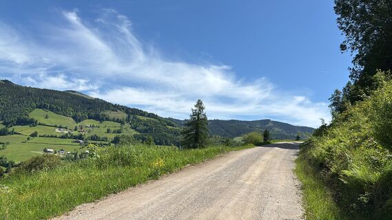 Photo de Heinz Sperl le long du parcours