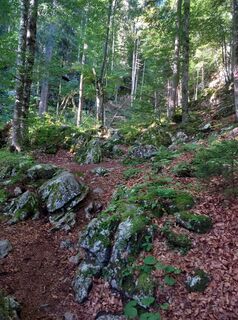 Fotografia z Christian Priller na trase