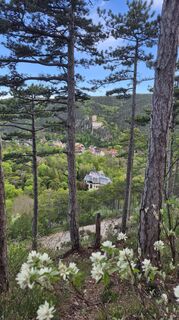 Foto von Claudia Maurer entlang der Tour