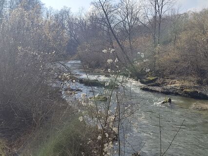 Fotografija s spletne strani Margit Leitner 1 na poti