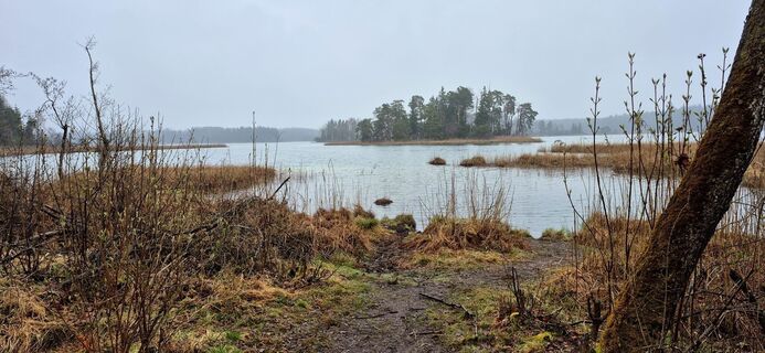 Foto från Thomas Schekira under resans gång