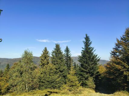 Foto de Stanisław Czajka a lo largo del recorrido