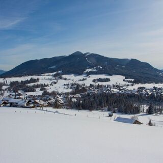 Blick vom Wetzsteinrücken Richtung Hörnle