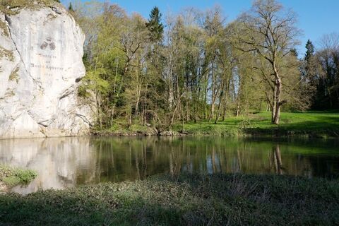 Die Donau zwischen der Eremitage und dem Fürstlichen Park mit dem Amalienfelsen