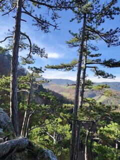 Фото с сайта Heinz Weber in во время экскурсии