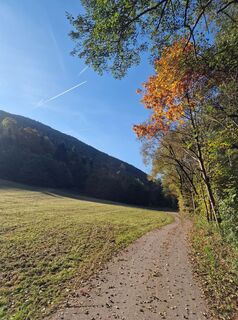 Foto von Ilse Pregartner entlang der Tour