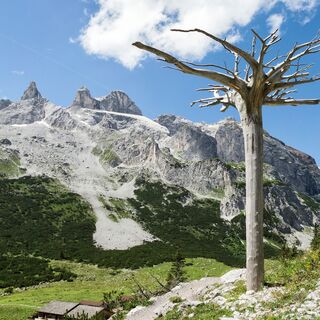 Gauertaler AlpkulTour (c)  Andreas Haller -  Montafon Tourismus GmbH, Schruns.jpg