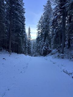 Foto von Heikoala entlang der Tour