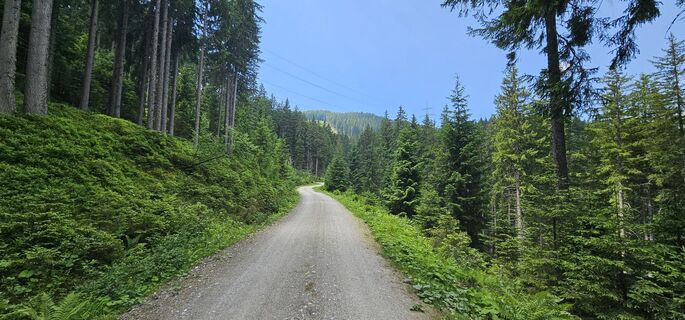 Fotografia z Michael Ganswind na trase