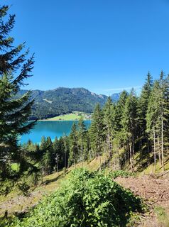 Foto von Steffen Dangelmaier entlang der Tour