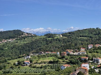 Foto de neiwo a lo largo del recorrido